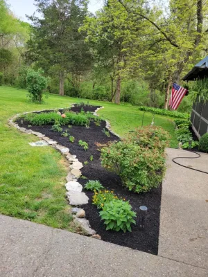 Alberto Alavez Professional Lawn Services LLC 17 by Alberto Alavez Professional Lawn Services LLC