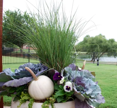Adorn - Landscape Design in Oklahoma City, OK