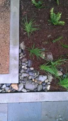 Aedan Workshop - Landscape Design in Durham, NC