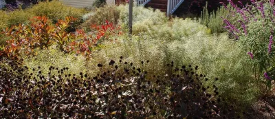 Perennial Planting — Landscape Design project by Aedan Workshop