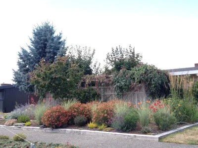 HAZEL Landscapes & Edibles - Tree Planting & Transplanting in Seattle, WA