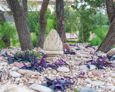 Agave LD,LLC - Garden Remodeling in Rollingwood, TX