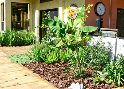 Hickory Creek Nursery - Landscape Design in Jacksonville, FL