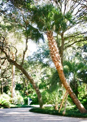 Hickory Creek Nursery - Landscape Design in Jacksonville, FL