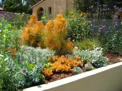 Hillrise Design - Garden Remodeling in Los Angeles, CA