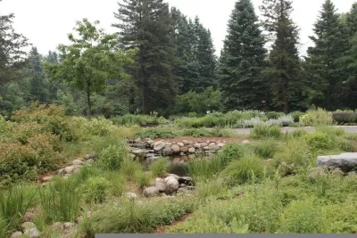 Hilscher Design and Ecology - Garden Remodeling in Stillwater, MN