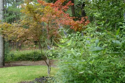 Hilton Head Landscapes - Landscape Maintenance in Hilton Head, SC