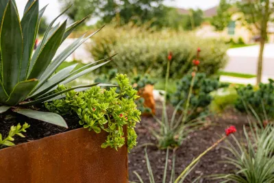 Agave LD,LLC - Garden Remodeling in Rollingwood, TX