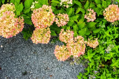 Himsben Design Studio, LLC - Outdoor Lighting Installation in Chicago, IL