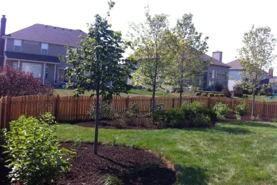 Back Yard Plantings — Landscape Design project by Hively Landscaping Inc. in Plainfield