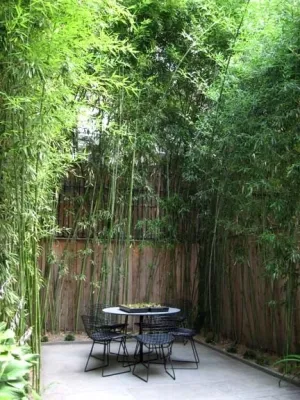 Holly, Wood and Vine Ltd. - Landscape Maintenance in New York, NY