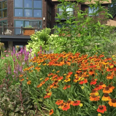 Hortulus Animae llc - Mindful Garden Design - Garden Remodeling in Catskill, NY