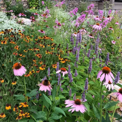 Hortulus Animae llc - Mindful Garden Design - Garden Remodeling in Catskill, NY