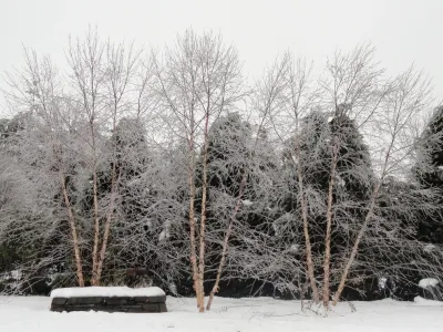 Howard Jay Supnik Landscape Architect LLC - Landscape Design in Lititz, PA