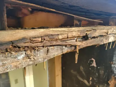 Winks Remodeling & Handyman Services - Insulation Installation in Westerville, OH