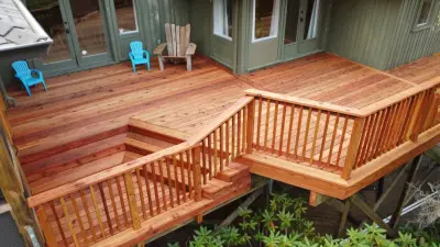 Black Dog Building - Landscape Design in Bayside, CA