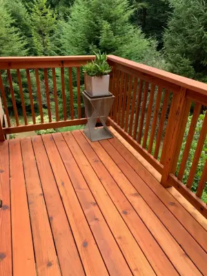 Baywood patio — Home Renovation & Remodeling Services project by Black Dog Building