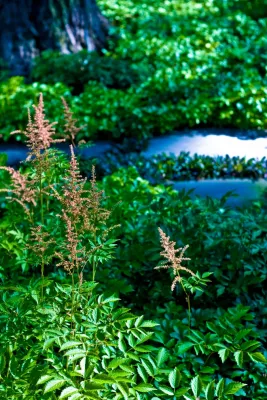 ILT Vignocchi - Landscape Design in Wauconda, IL