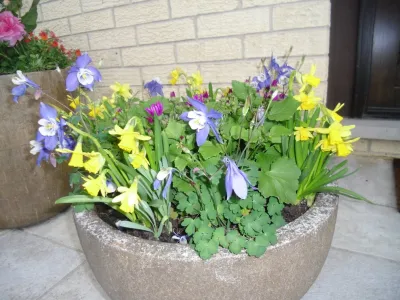 ILT Vignocchi - Landscape Design in Wauconda, IL