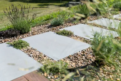 Curbs Studio - Tree Planting & Transplanting in Wellesley, MA