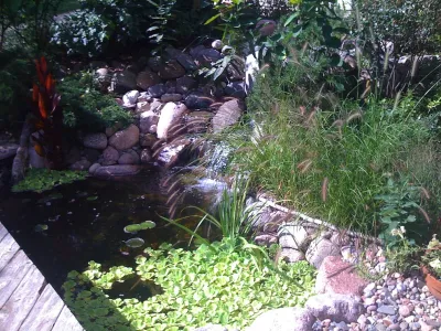 InSite Landscape Design - Landscape Design in Wauwatosa, WI