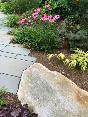 Alden Laurel - Landscape Construction in Lincoln, MA