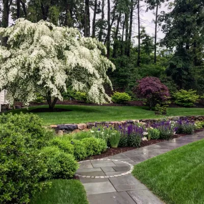 Alden Laurel - Landscape Construction in Lincoln, MA