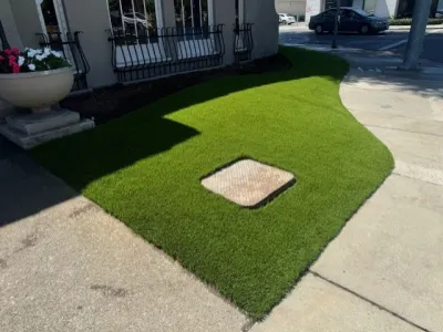 Art Of Turf Inc - Tree & Shrub Care in Castro Valley, CA