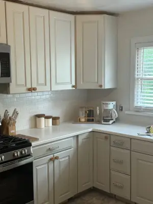 Eclectic Kitchen Renovation — Home Renovation & Remodeling Services project by Pro Building Concepts