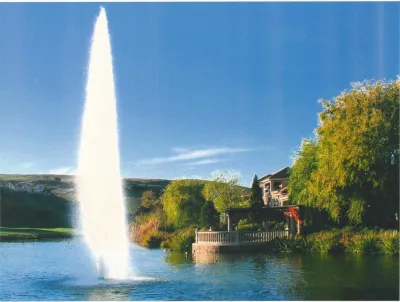 Alder Landscape Architecture - Garden Remodeling in San Francisco, CA