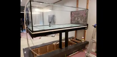 Cantilevered Aquarium — Kitchen Remodeling project by Peoria Tile And Carpenters