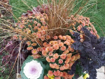 Alfresco Landscapes, LLC - Garden Remodeling in Walker, LA