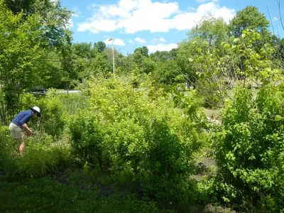 Ironwood design group - Landscape Design in Newmarket, NH