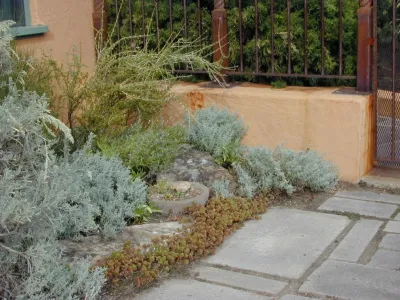 Donner Residence - Estate Garden Maintenance — Landscape Design project by J. Gieo Pensoneault, MLA