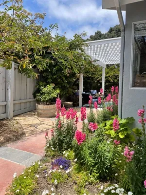 Jackie and the Beanstalk - Garden Remodeling in San Diego, CA