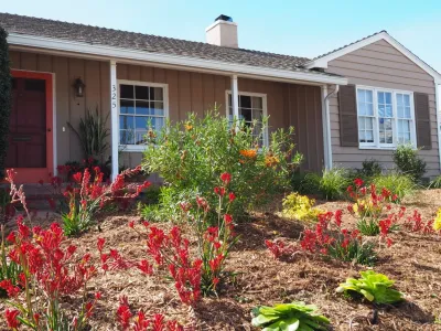 Jackie and the Beanstalk - Garden Remodeling in San Diego, CA