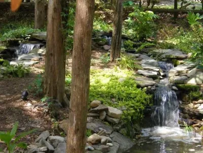 All Natural Streams Landscaping - Garden Remodeling in Charlotte, NC