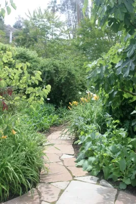 Jackie and the Beanstalk - Garden Remodeling in San Diego, CA