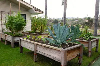 Jackie and the Beanstalk - Garden Remodeling in San Diego, CA