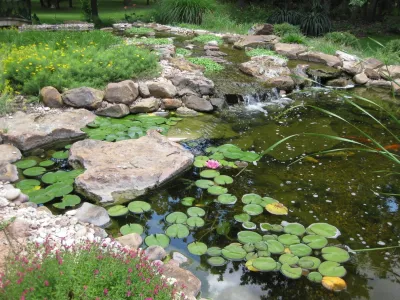 James Landscaping, Inc. - Drought-Resistant Lawn Installation in Southlake, TX