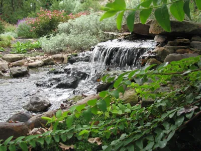 James Landscaping, Inc. - Drought-Resistant Lawn Installation in Southlake, TX