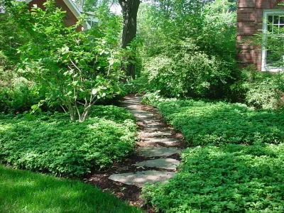 Jane Dilworth & Associates - Sidewalk & Pathway Installation in Downers Grove, IL