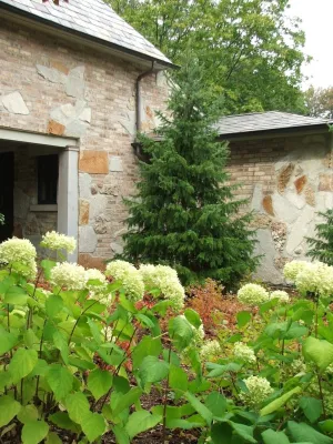 Plantings — Landscape Design project by Jane Dilworth & Associates