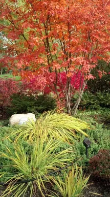 Jane Dilworth & Associates - Sidewalk & Pathway Installation in Downers Grove, IL