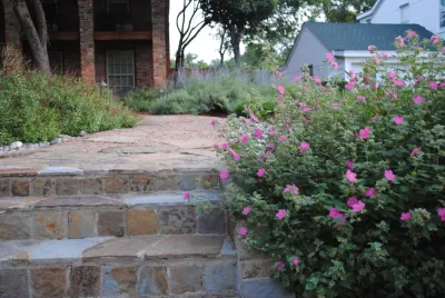 Jason Lackey, Landscape Designer - Landscape Design in Dallas, TX
