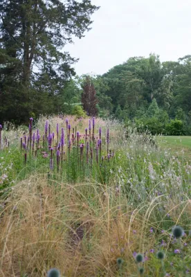 Allison Feuer Design - Garden Remodeling in Westport, CT