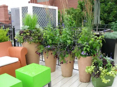 Jean Brooks Landscapes - Patio Design & Installation in Cambridge, MA