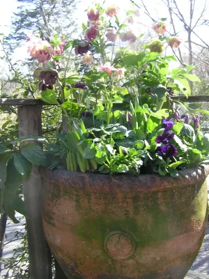 Jean Brooks Landscapes - Patio Design & Installation in Cambridge, MA