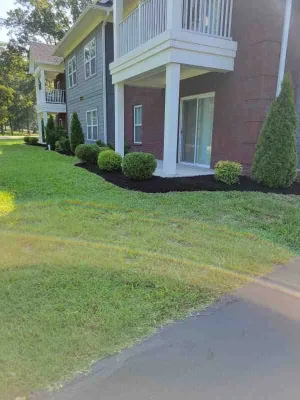 Alberto Alavez Professional Lawn Services LLC 3 — Landscape Construction project by Alberto Alavez Professional Lawn Services LLC