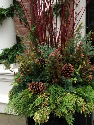 Jean Brooks Landscapes - Patio Design & Installation in Cambridge, MA